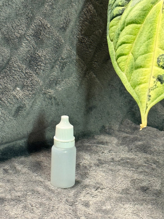 Recharge pour diffuseur de parfum