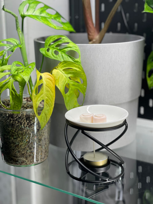 ♨️ Brûleur « Sabrina »