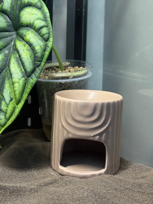 ♨️ Brûleur « Ambre »