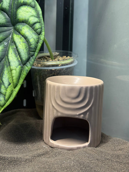 Coffret découverte « Ambre »