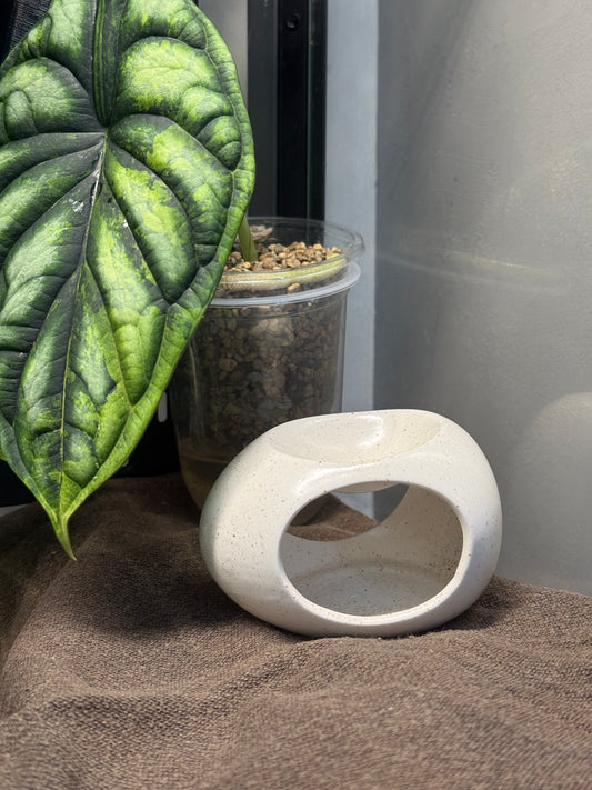 ♨️ Brûleur « Sophie »