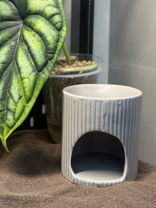 ♨️ Brûleur « Lexie »