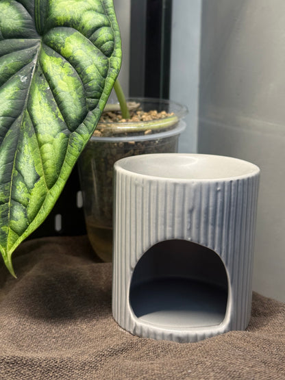 Coffret découverte « Lexie »